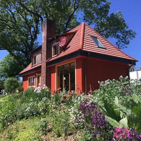 Kleine Im Wilden Garten *