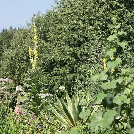 Kleine Im Wilden Garten * Gummersbach