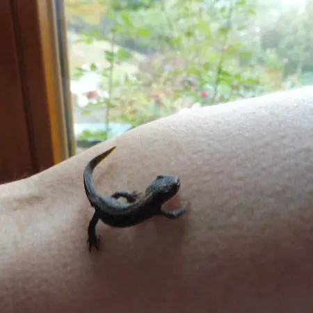 Prázdninový dům Kleine Im Wilden Garten