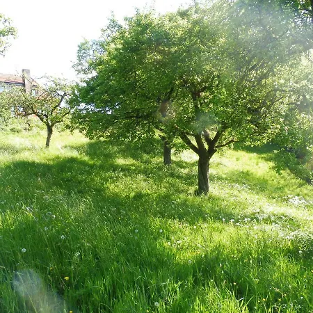 بيت للعطل Kleine Im Wilden Garten *