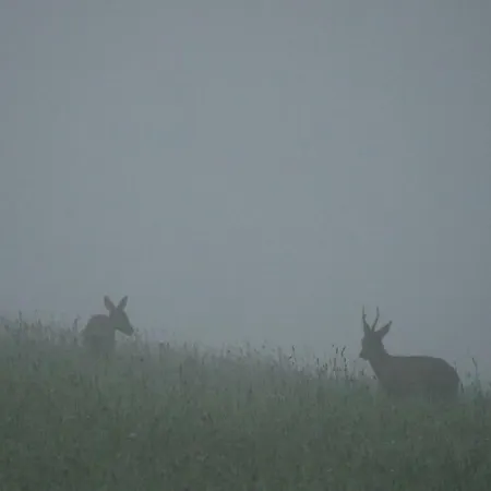 Kleine Im Wilden Garten Prázdninový dům