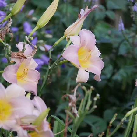 Kleine Im Wilden Garten Gummersbach