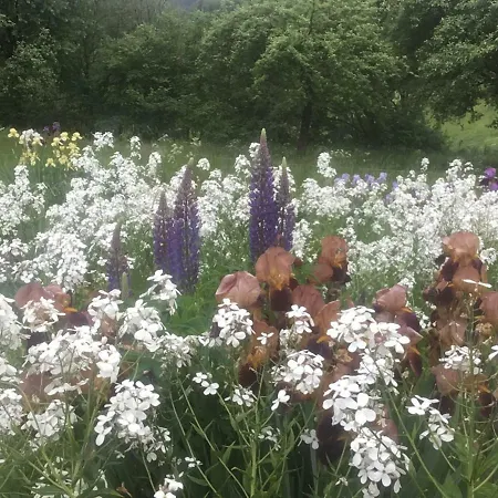 بيت للعطل Kleine Im Wilden Garten غومرسباخ
