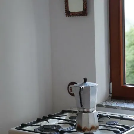 Kleine Im Wilden Garten *