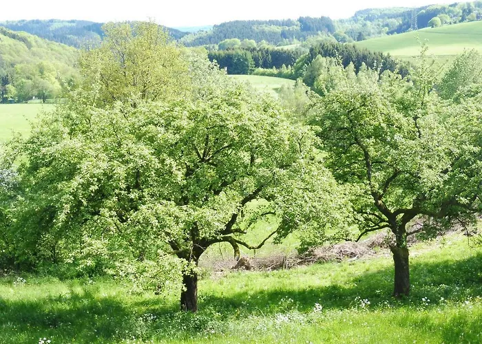 Vakantiehuis Kleine Im Wilden Garten Gummersbach
