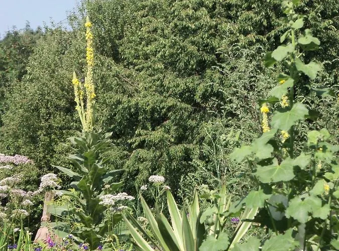 Kleine Im Wilden Garten * Gummersbach