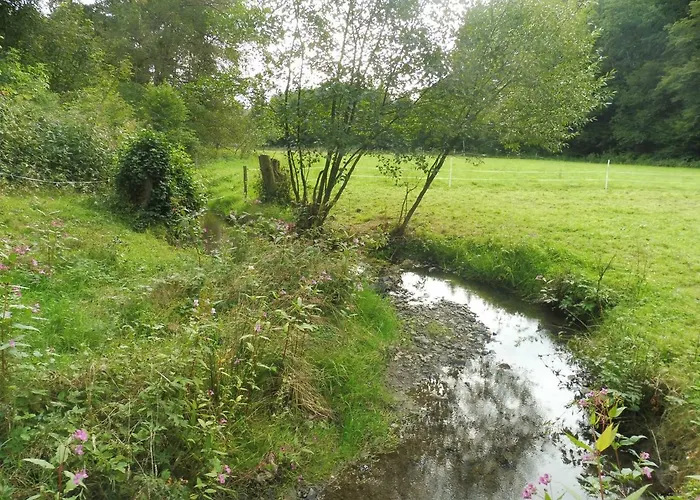 Kleine Im Wilden Garten