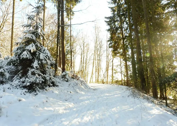 Kleine Im Wilden Garten Gummersbach