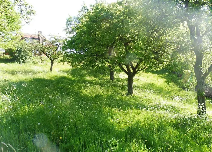 Vakantiehuis Kleine Im Wilden Garten *