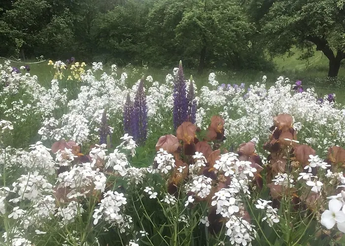 Vakantiehuis Kleine Im Wilden Garten Gummersbach